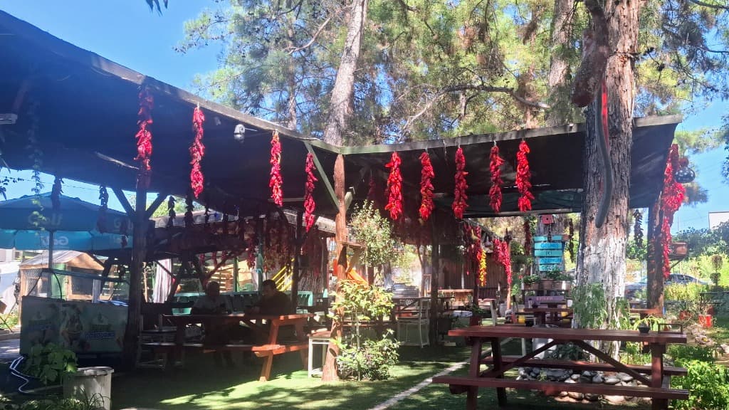 Denizli – Kale Road: Sun-Dried Red Peppers Under Pine Shaded Eaves