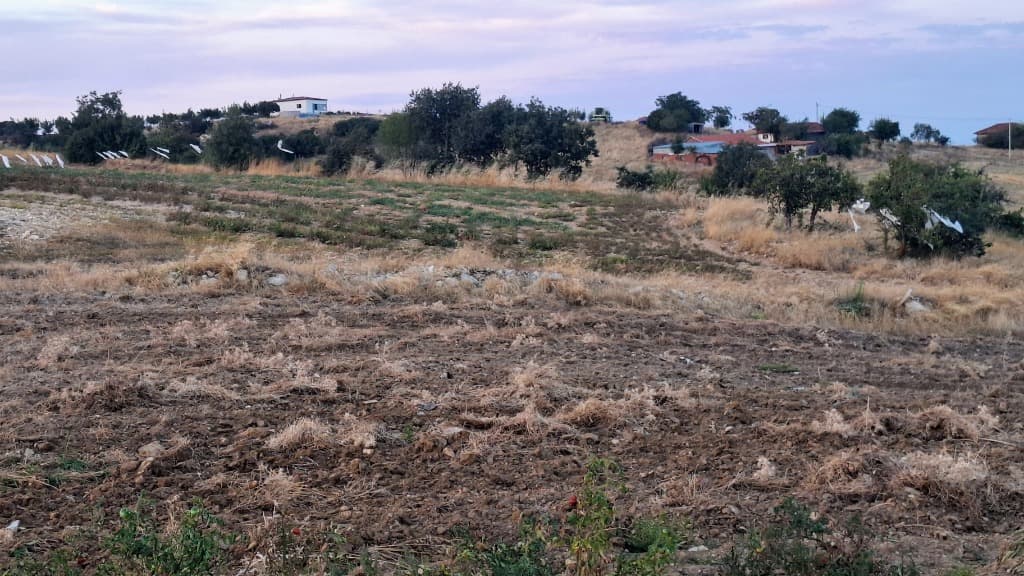 Denizli Güney – Eziler Neighborhood: Post-Harvest Highland Soil & Farmland Parcels